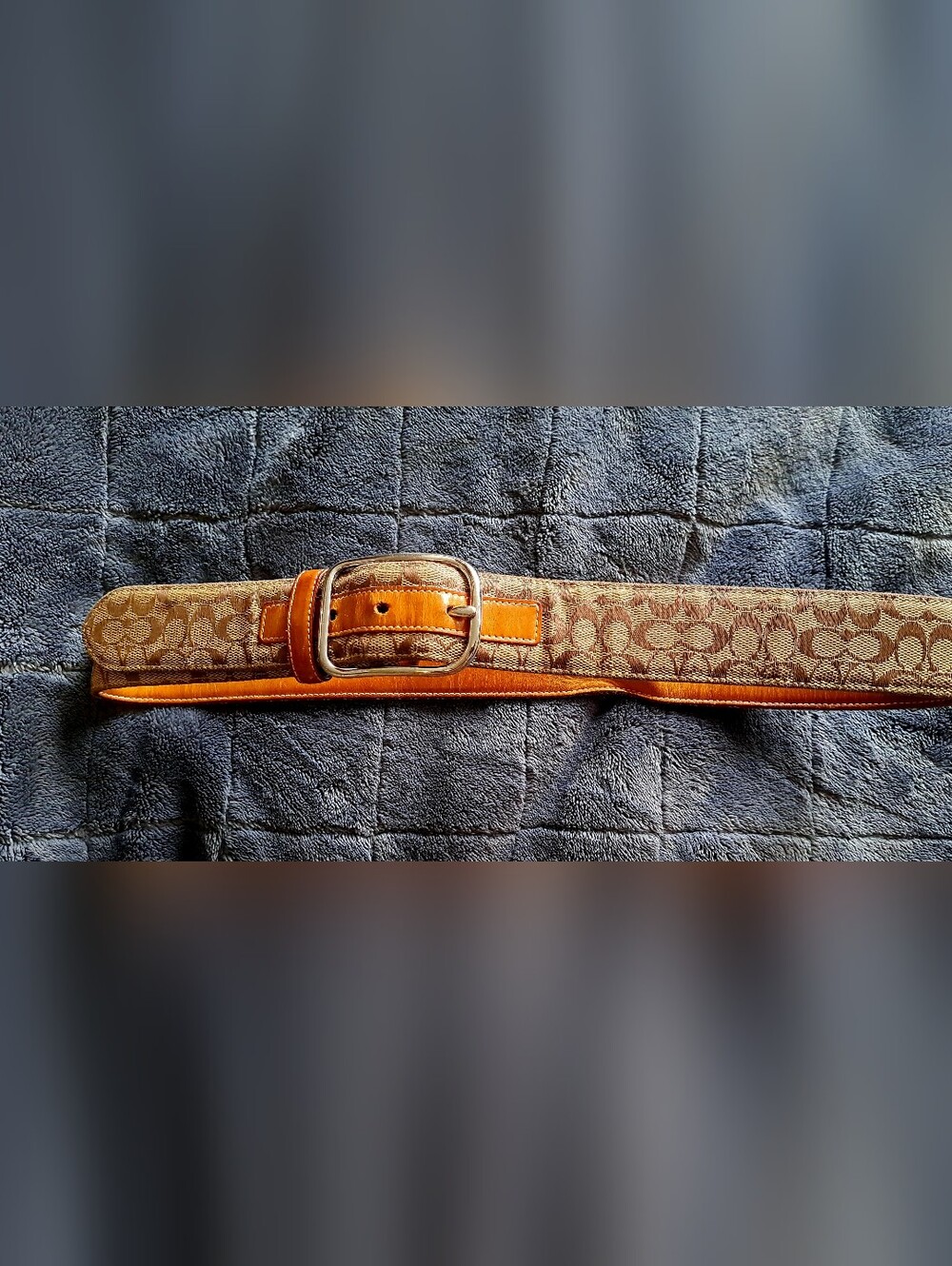 Coach 8573 Signature belt - Unisex